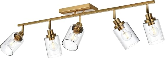 MELUCEE 5-Light Track Lighting Kit Brass with 5 Rotatable Light Heads