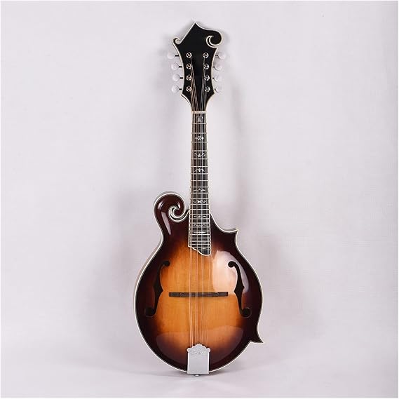 Mandolin Instrument Handmade F Style Mandolin Solid Spruce Top Cow Bone Nut Mandolin Instrument