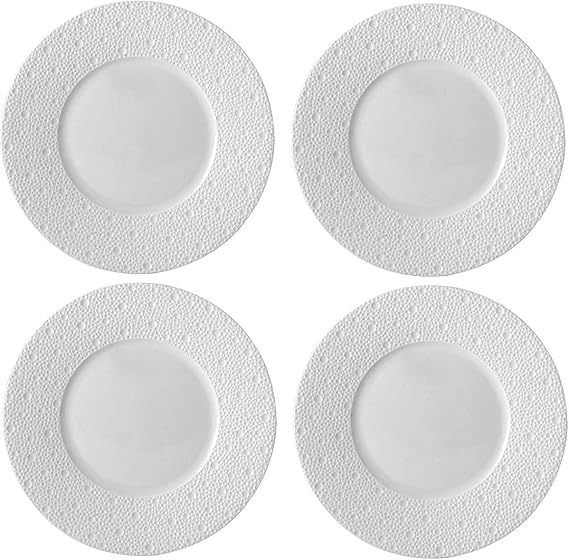 Bernardaud Ecume White Set of 4 Salad Plates #0733-20250
