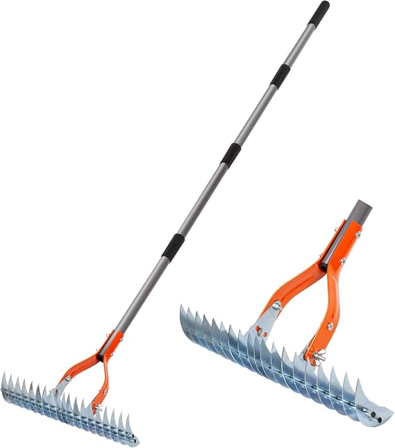 Walensee 15-Inch Thatch Rake for Lawn, 19-Tine Dethatcher, 70-Inch Handle