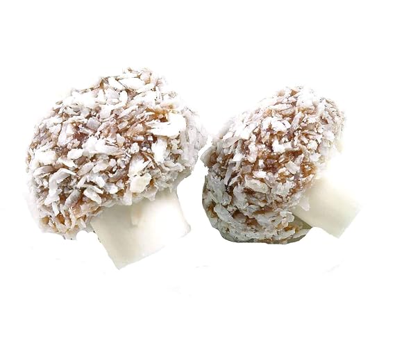 Taveners Coconut Mushrooms 500 Gram Bag (1/2 Kilo)