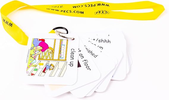 PECS Show and Go: Visual Classroom Direction Cards (Any Color)