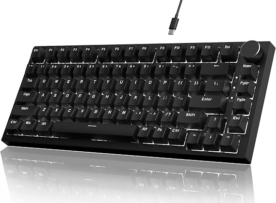 YINDIAO Ajazz AK820 Mechanical Keyboard with Button 75% ANSI Layout 81 Keys Wired Gaming Keyboard Improved Seal Assembly Red Hot Swap Switch Ice White Light for PC Mac (Black)