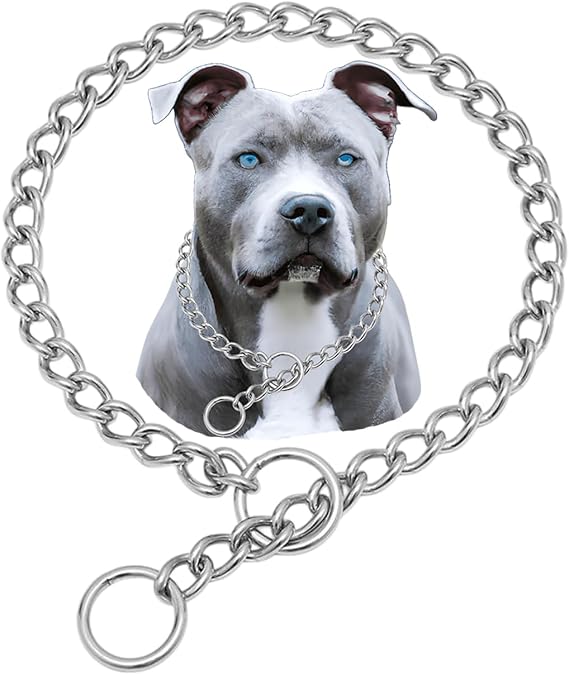 Dog Chain, 304 Stainless Steel Choke Collar for Dogs Metal Slip Chain, XXS