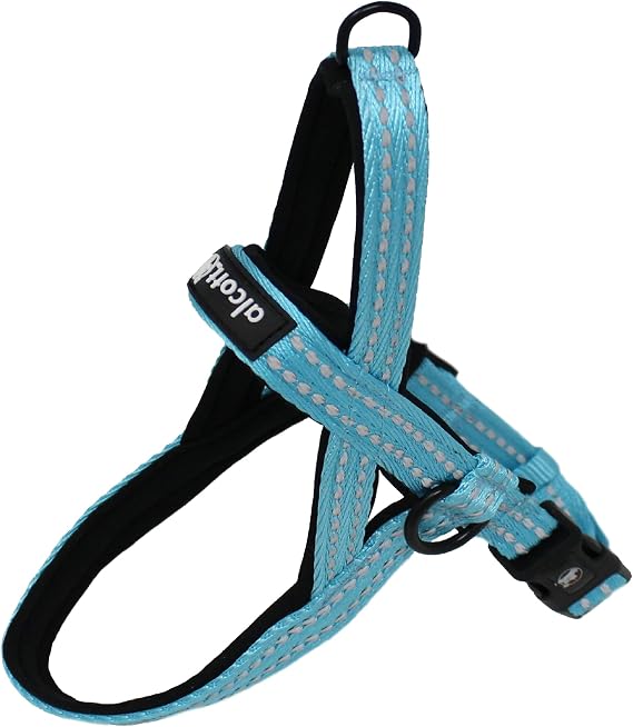 Alcott Norwegian Harness, Blue, Large