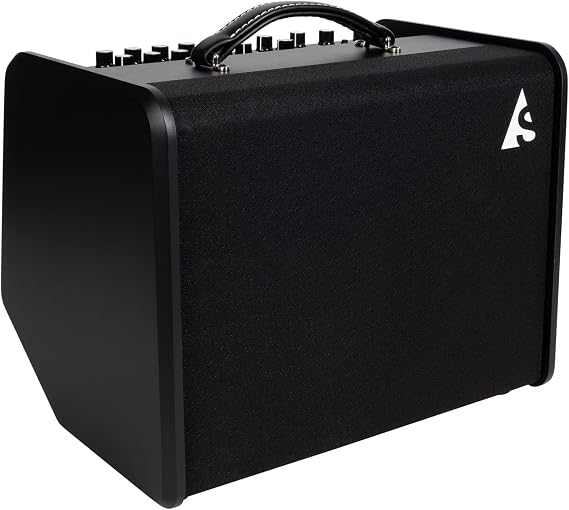 Godin Acoustic Solutions ASG-8 Wood 120 watts