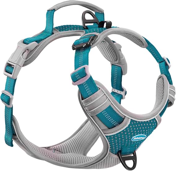ThinkPet No Pull Harness Breathable Sport Harness with Handle-Dog Harnesses Reflective Adjustable for Medium Large Dogs,Back/Front Clip for Easy Control S Bright Teal
