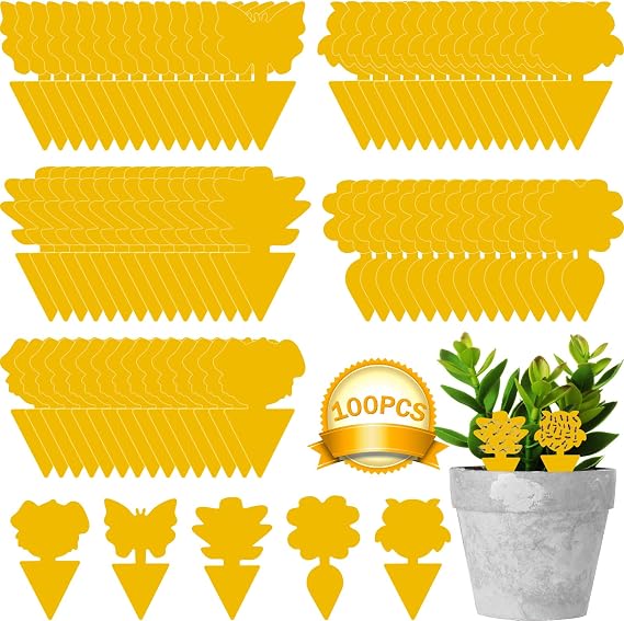 Fruit Fly Traps, Triitech 100 Pack Sticky Fly Traps, Sticky Bug Fungus Stickers for Indoor and Outdoor