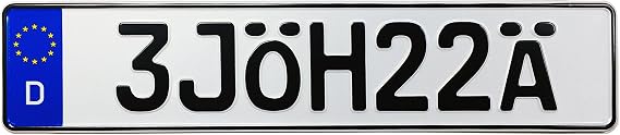Asshole German License Plate