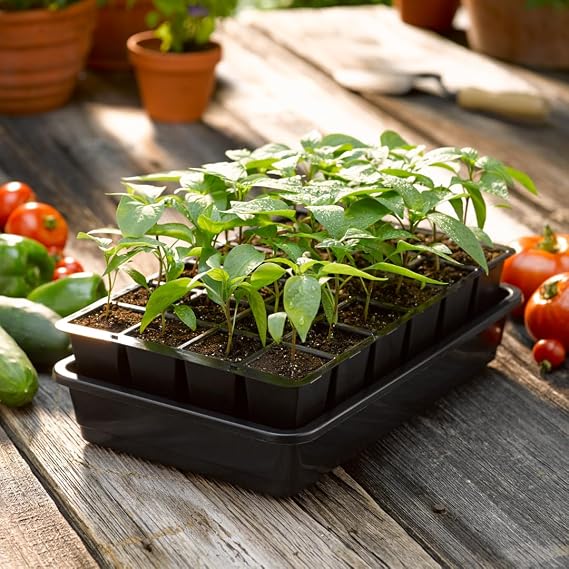 Gardener's Supply Company GrowEase Self Watering Seed Starting Kit | 24- Cell, Holds 3 Quarts of Soil | Capillary Mat, Cover and Water Reservoir Included, 100% Recycled Plastic