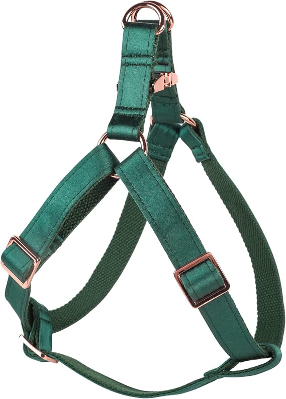 Lionet Paws Dog Harness, No-Pull Adjustable Silk Nylon Webbing Pet Harness with Metal Buckle for Small Dogs Easy Walking, Dark Green, XS