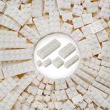 310 Pieces White Bulk Bricks Classic Building Play Blocks Set Parts Toy Accessories Compatible with Major Brick Brands (White)