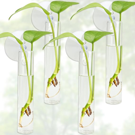 4PCS Wall Hanging Planter Propagation Stations, Plant Tube with Suction Cup Hook, Test Tube Propagation Station Wall Clear Plant Vase No Nails with Bottle Brush Flower Plant Terrarium