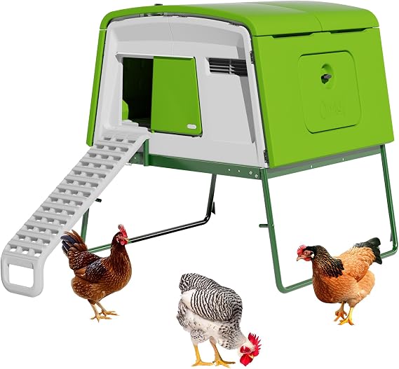 Omlet Eglu Cube Large Chicken Coop | Easy to Clean Plastic Chicken Tractor | The Most Secure Hen House for Complete Peace of Mind | Weatherproof Cool in Summer and Warm in Winter | Green