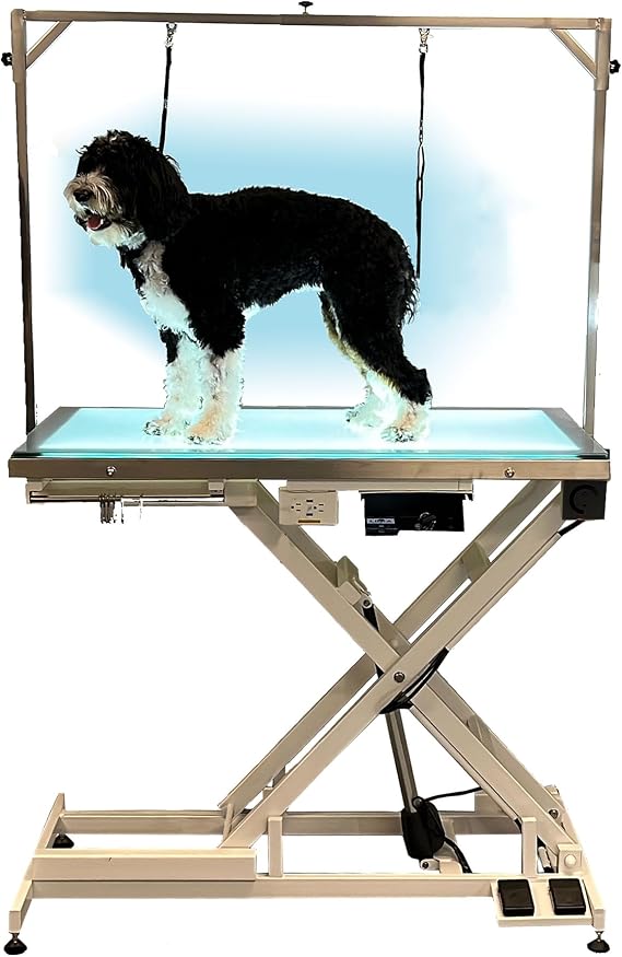 LED Lit Master Groomer Electric Lift Grooming Table (Basic Package)