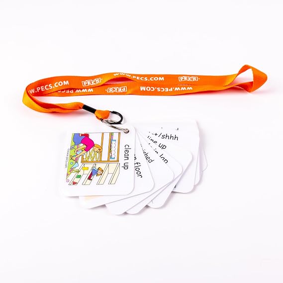 PECS Show and Go: Visual Classroom Direction Cards (Orange)