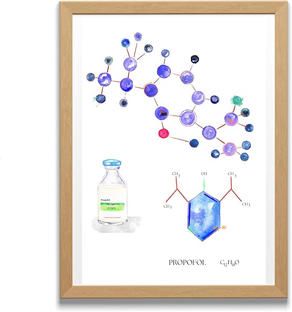 Propofol Molecule Anesthesiology Pharmacy Biochemistry Artwork, Anesthesia Tech Doctor Assistant Gift, Anesthesiology Nurse Gift, Fine Art Print (16.5x23.4 in (A2))