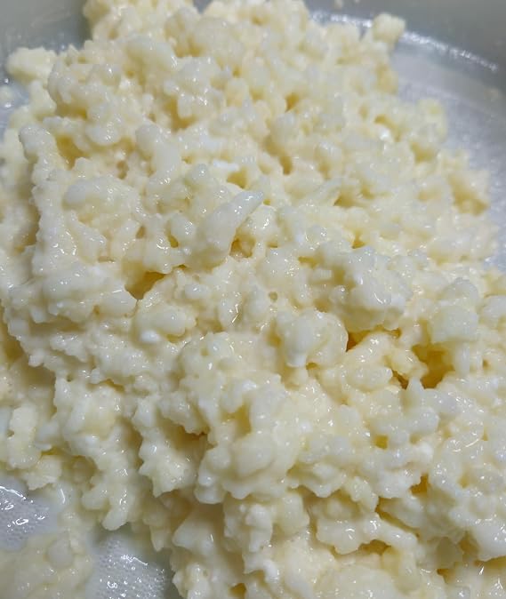Milk Kefir Grains