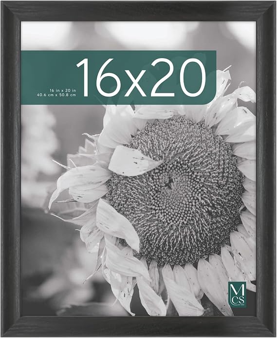 MCS Studio Gallery Classic 16x20 Poster Frame Black Woodgrain Engineered Wood, Vertical & Horizontal Wall Hanging Large Picture Frame for Photos, Posters & Art Prints (1-Pack)