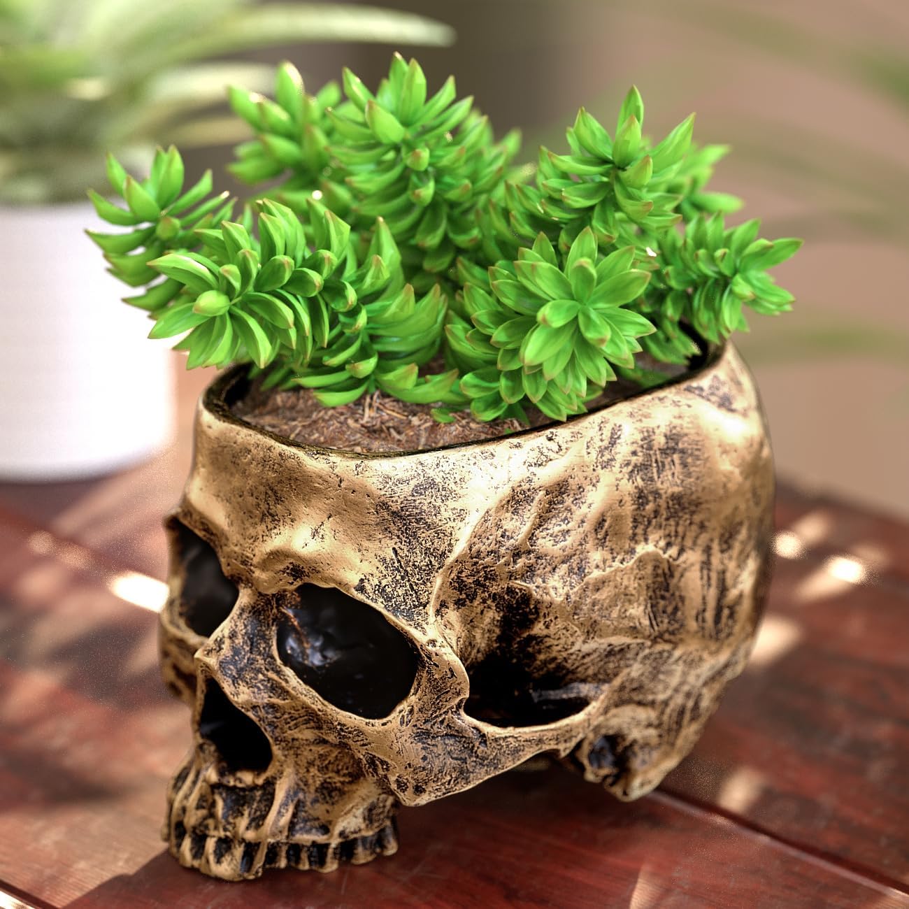 READAEER Resin Skull Bowl, Makeup Brush Organizer, Pen Holder, Planter Flower Pot, Skull Statue for Home Office Indoor Desk Decorations Gold