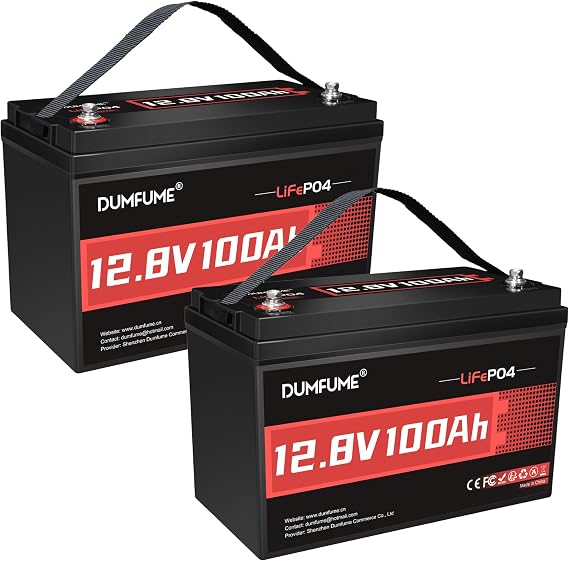 2 Packs 12V 100Ah LiFePO4 Lithium Battery 100A BMS