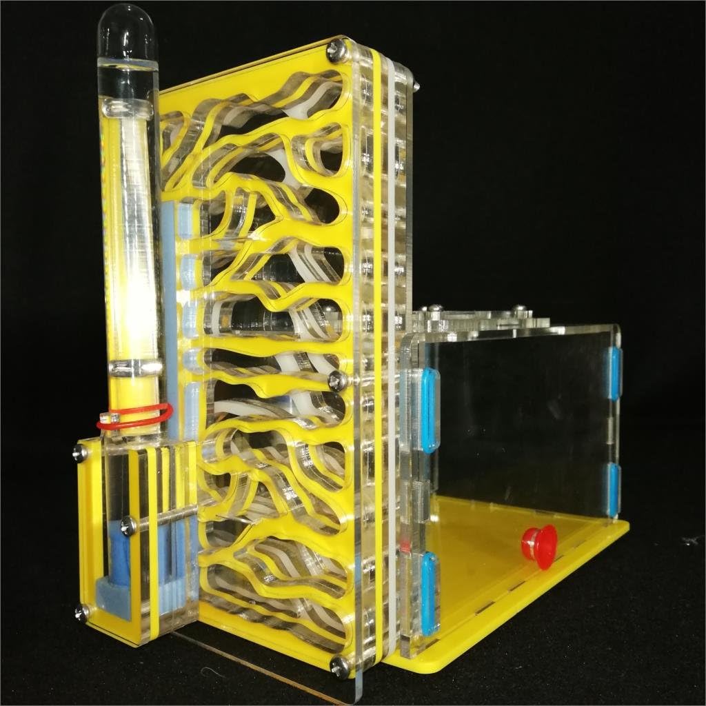 ANT T Design DIY with Feeding Area nest Farm acryl, Insect nests Villa pet Mania for House Yellow