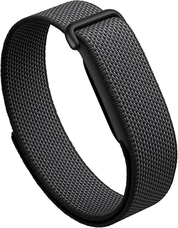 Google Fitbit Next Obsidian