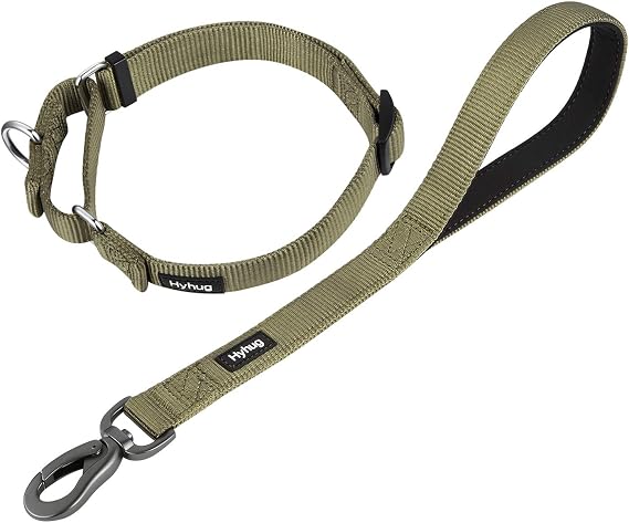 Hyhug Pets Nylon Anti-Escape Martingale Collar and 18 Inches Short Leash with Soft Pad.