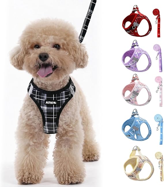 AIITLE No Pull Step in Dog Vest Harness and Leash Set, Black S | Easy Fit Reflective Vest Harness for Small Medium Dogs, Adjustable Choke Free Plaid Harness for Walking, Jogging, Training