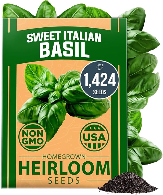 HOME GROWN Italian Large Leaf Basil Seeds, 1,424 Seeds, Ocimum basilicum