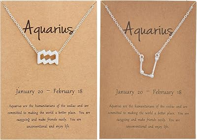 choice of all 2pcs Silver Zodiac Necklace Constellation Horoscope Astrology Necklace Horoscope Zodiac Sign Pendant Necklace Birthday Gifts