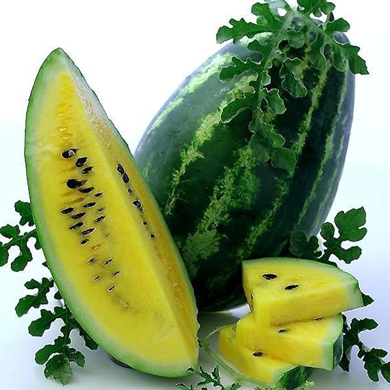 Mountain Sweet Watermelon Seed - 1 OZ ~400 Seeds - Heirloom, Open Pollinated, Non-GMO, Farm & Vegetable GardeningFruit Seeds