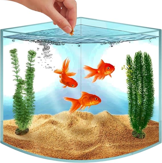 Betta Fish Tank,Acrylic Beta Fish Aquariums,Corner Fish Tank - 1.71 Gallon | Small Fish Tank for Real Life Fish, Clear Seamless Desktop Corner Aquarium for Small Fish, Shrimp & Plants Only