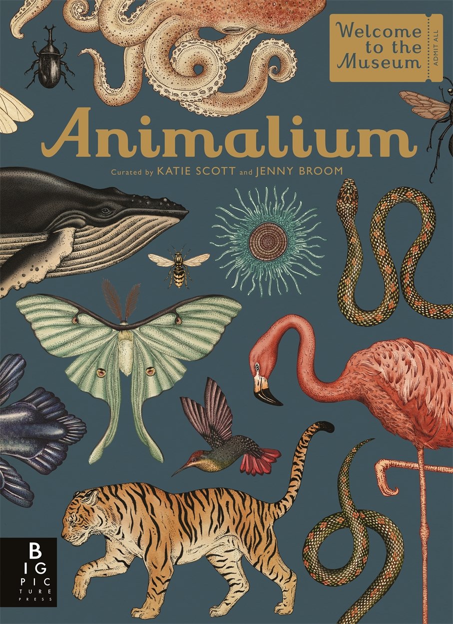 Animalium Ciltli Kapak – Uluslararası Sürüm, 19 Ekim 2017