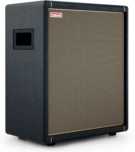 Positive Grid Spark CAB Powered FRFR Speaker Cabinet for Amps & Modelers