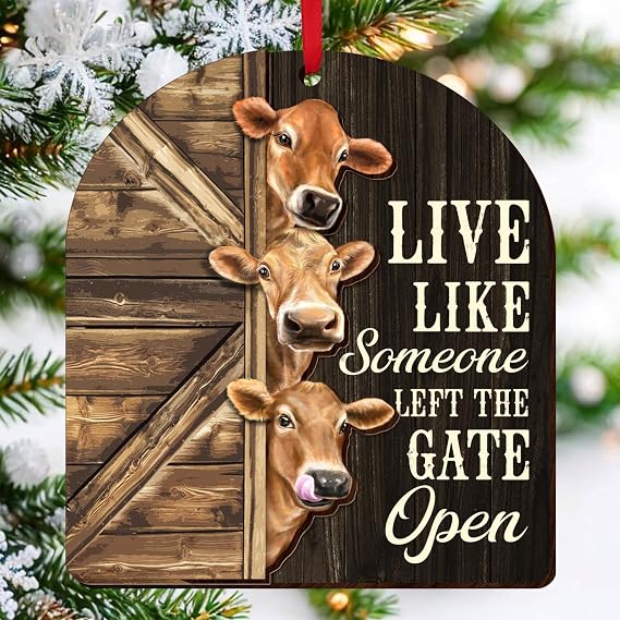 OASSIE Christmas Highland Cow Gifts for Women - 2026 Christmas Ornaments