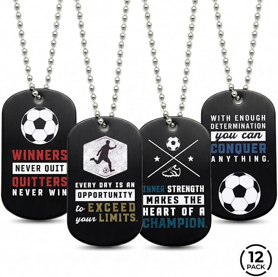 Inkstone Success Dog Tag Necklace, Inspirational Scripture Dogtag Pendant for Men, Christian Faith Stainless Steel Necklace, Motivational Gift