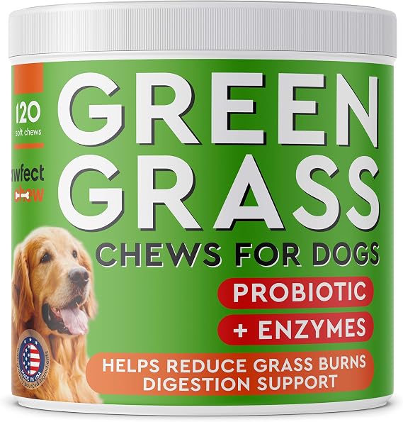 Green Lawn Chews for Dogs Urine Neutralizer | Helps with Grass Burn Spots & Lawn Burn from Dog Urine - Probiotics & Enzymes - Made in USA - Bacon Flavor - 120 Chews