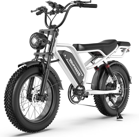 Electric E-Bike | Full Suspension | 1500W Peak Motor | 31/25 mph Top Speed | 2570 Range | 48V 960/748 Wh Removable Battery | LED Headlights | 20/16-Inch All-Terrain Fat Tires | (White)
