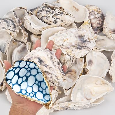 15PCS Oyster Shells 4-5 Concave Oyster Shells for Crafts Natural Oyster Shells Bulk, for Home Vase Filler, Xmas Ornaments, DIY Arts and Crafts Sea Shells