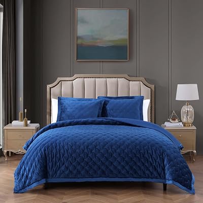 Bebejan Luxury Velvet Comforter Set, Navy, Ultra Soft Lightweight Velvet Comforter, All Season Cozy Velvet Bedding Sets, 1 Comforter & 2 Shams Queen