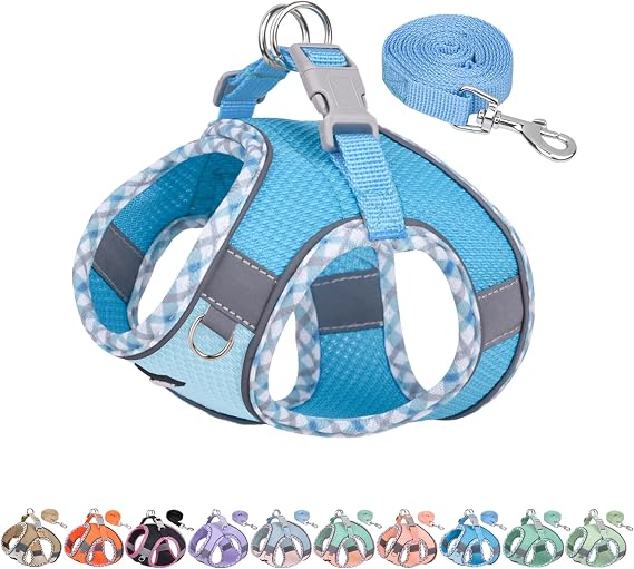 AIITLE Tiny Dog Harness - 軽量メッシュステップインベスト 子犬用、反射&脱出防止デザイン ハイスティックマジックテープ付き - 屋内/屋外用 チワワ、マルチーズ、シーズー用ブルー、S