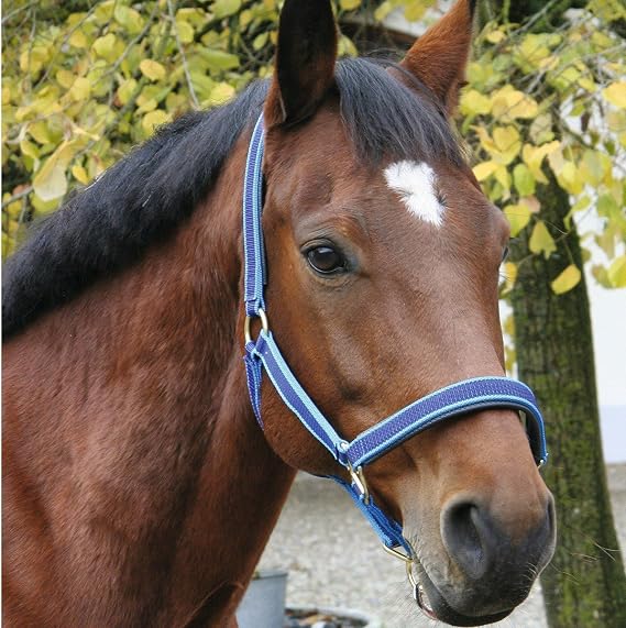 Agritura Head-Collar Exclusive - A05068