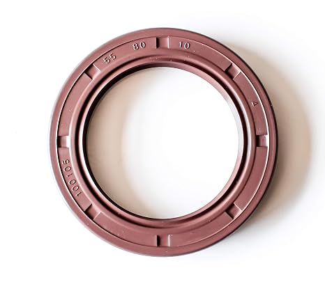EAI 55mm x 80mm x 10mm FPM/FKM TC Double Lip w/Stainless Steel Spring Oil Seal. Comp. /w Viton Shaft Seal