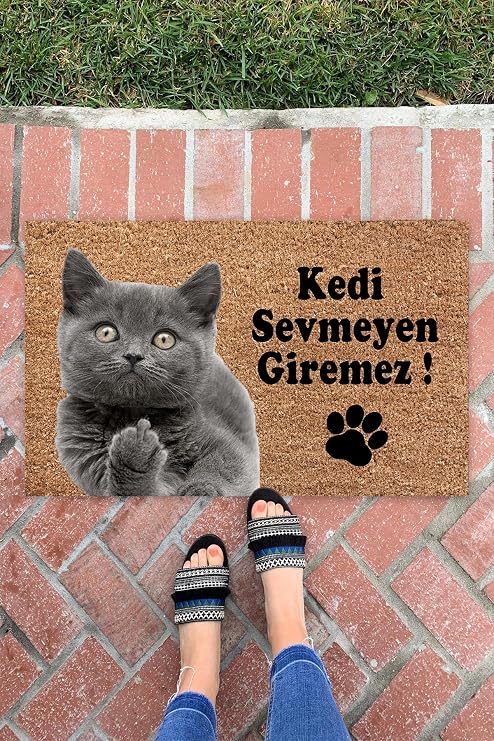 Monnhein Kedi Sevmeyen Giremez Kapı Önü Paspası Dekoratif Kapı Paspası Dış Mekan Paspas Ev Içi Paspası 45x70cm