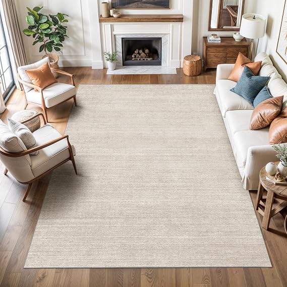 Valenrug 4x6 Area Rug for Entryway, Non Slip Washable Bedroom Rug, Beige | Soft Low Pile, Thin & Lighweight Carpet, Folable Stain Resistant Modern Indoor Floor Mat for Living Room,Hallway, Home Decor