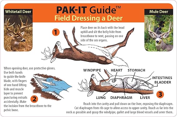 PAK-IT Guide to Field Dressing a Deer