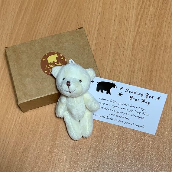 A Little Pocket Bear Hug - Sending You a Bear Hug, with Pocket Hug Token Card, Emotional Support Plush Positive Gifts for Graduation Birthday (White)